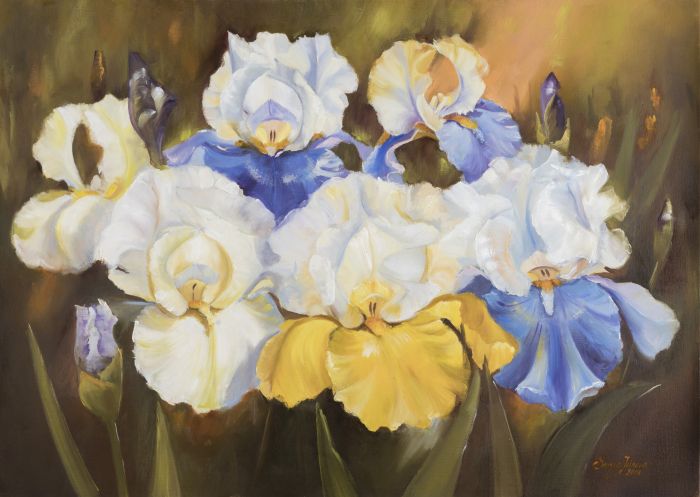 Irises